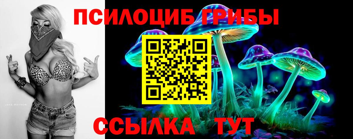 Галлюциногенные грибы Psilocybe Лабинск