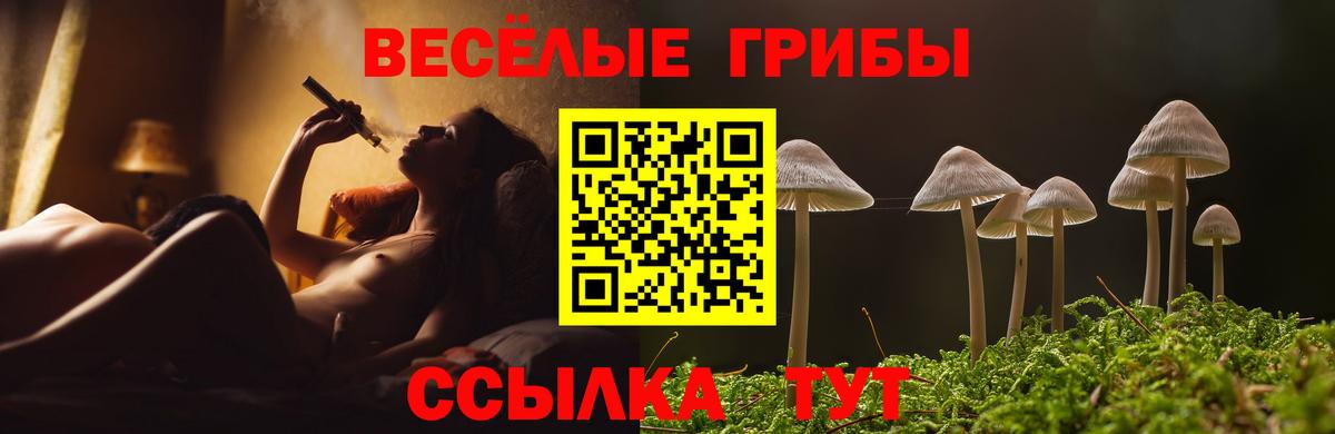 Галлюциногенные грибы ЛСД  Вход с VPN  Лабинск 