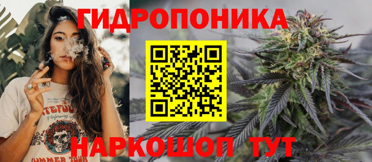 Бошки Шишки MAZAR Лабинск